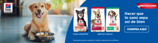 Banner izquierdo